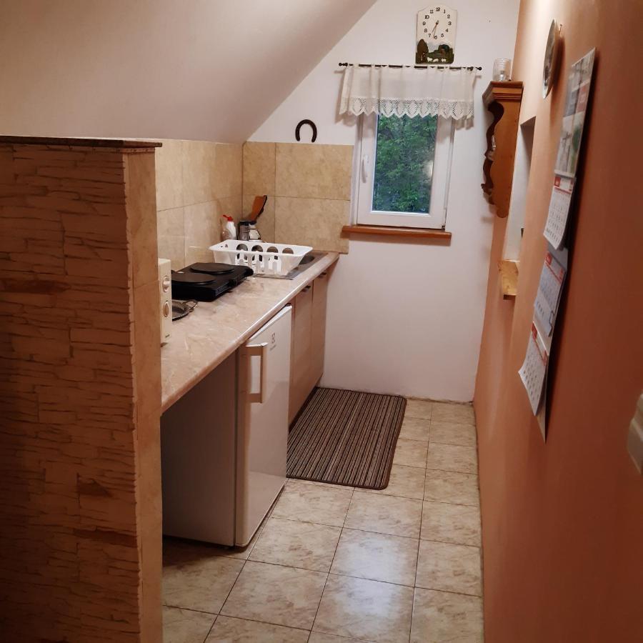Agroturystyka Brzozowe Wzgorze Wlen Dış mekan fotoğraf