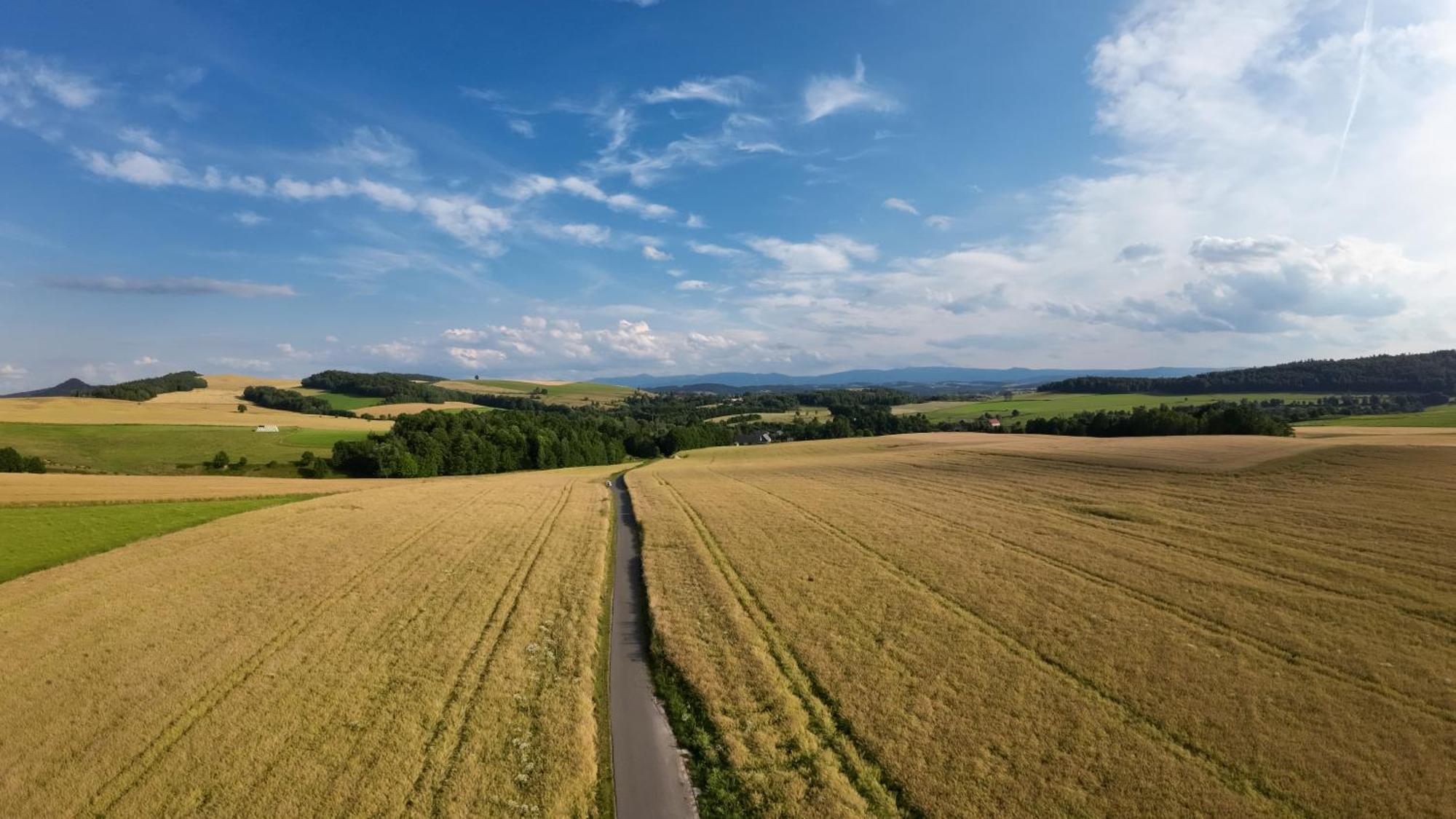 Agroturystyka Brzozowe Wzgorze Wlen Dış mekan fotoğraf